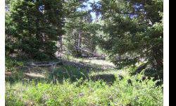 Sloped lot with plenty of trees and vegetation. This .50 acre lot in Navajo Lake Estates has twp adjoining lots available. Nice property sold together or separately.Listing originally posted at http