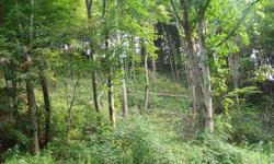 THIS PROPERTY HAS LOTS OF TREES, EASY ACCESS, ALREADY HAS UNDERGROUND UTILITIES, IS ON A DEAD END STREET FOR PRIVACY, NICE NEIGHBORHOOD, GREAT PLACE TO BUILD YOUR DREAM HOME AND ENJOY THE BEAUTIFUL MOUNTAIN VIEWS!! CLOSE TO MOUNTAIN CITY, TN, BOONE, NC,