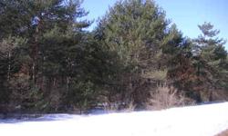 Great value,nearly 3 wooded buildable acres. Area of newer homes with easy access to I39. A short 20 minute ride to Plover/Stevens Point area shopping centers. Survey and covenants on file.Listing originally posted at http