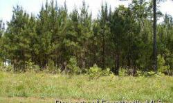 RESIDENTIAL LOT WITH APPROXIMATELY 3.39 ACRES ACCORDING TO THE HOKE COUNTY TAX RECORDS.
Listing originally posted at http
