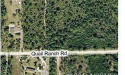 2.5 acre homesite in rural area with horses allowed. Centrally locatied in the county with a quick trip to the beach in New Smyrna, to Port Orange/Daytona area, and all of the metro Orlando area. Build your dream country estate here!Listing originally