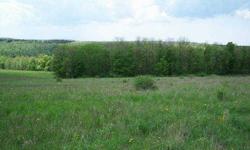 5 COUNTRY ACRES SURROUNDED BY NEW YORK STATE LAND ----- 5+ beautiful acres surrounded by 5800 acre Beaver Meadow State Forest. This parcel is made up of approx. 60% open hillside meadow and 40% hardwood forest with some marketable timber. This is a