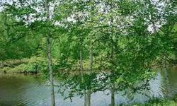 A nice wooded lot - perfect for a walkout. Owner enjoys an elevated view of Ranger Lake, which flows into beautiful Lake of the Clouds for extra boating pleasure. These two no-wake lakes allow pontoons, fishing boats, canoes and kayaks. The lot is close