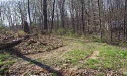Nice big lot. Apprx. 1/2 cleared and 1/2 wooded. Public water at the road. Will consider some financing.