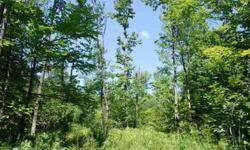 2 Acres $15,995 5 Acres $17,995 These two parcels are located on a paved road and have access to power. The five acre parcel is 200 feet from the road with its own private drive. The lots are nicely wooded with plenty of signs of deer. Beaver Dam creek