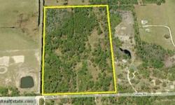 20 acres in Samsula near Lake Ashby! Build your dream home on this mostly wooded property on paved road. Owner will consider financing. The definition of rural country living! Bring the horses, cows, and other animals! Currently zoned A-1 (Prime