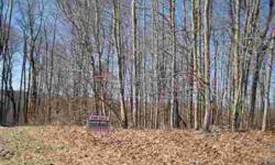 If you are thinking of building or just want a nice size lot for a "get away" , you will enjoy owning this property. This 5 acre lot has a beautiful building site and a terrific view of Lake Redstone. Taxes - $ 588.64 (2010)Listing originally posted at