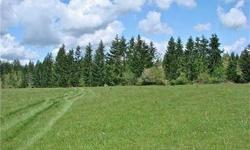Magnificent flat, dry 6+ acres located on historical Green Meadows Farm. These acres are mostly cleared with some marketable timber with no wetlands. One could build a home and have plenty of pasture for equestrian or other animals or even maybe some