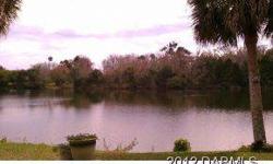 Nice lake views on private cul de sac lot.Backing up to the Northern lake of part of the 150 acre Central Park & Rec area in Ormond Newer metal roof, charming home, This is a short sale.Doug Gernert and Timothy Scheiber is showing this 3 bedrooms / 2