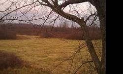 175+/- ACRES OF VERY PRIME HUNTING OR DEVELOPMENT PROPERTY WITH OVER 2000 FEET OF SUBDIVIDEABLE ROAD FRONTAGE ,UTILITYS AVAIL,CLOSE TO ATRACTIONS LIKE, ( ALEX-BAY). (CLAYTON ). WATERTOWN. SAINT LAWRANCE RIVER.MOSTLY ALL LEVEL LAND WITH NICE MIXTURE OF OLD