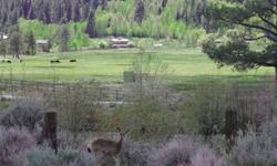 Enjoy country living at its best on this 1.61 acre homesite.