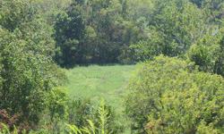 38 plus acres, several building spots, hunters paradise.
Listing originally posted at http