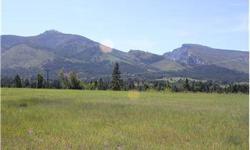 Clean Fresh Mountain Air, living like youre on a vacation in Montana every day. Build that home of your dreams. With views that will lift your spirits. Close to Hamilton. Call Kathleen Driscoll 406-363-2233 to get more information on this one of a kind
