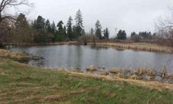 28 beautiful acres with a large pond, rolling meadows, well on site, electricity on site, and a large barn structure.