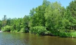 Steps are already built on this property to gradually take to a large level area by the lake. The lot has a great buiilding area for your lake home. This lot is partially cleared, nicely wooded w/great views of the lake. Take in boating, fishing,