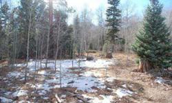 This is a spectacular, lush forest parcel with end of the road location! Listing originally posted at http