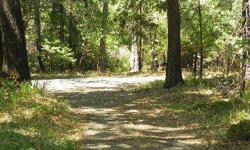Breathtaking level 5 acre parcel in Nevada City with power, phone, well, piped treated water with meter set, septic system installed for a 3 bedroom home and 2 building pads! Great opportunity for house & guest house or barn. Paved road access. Beautiful