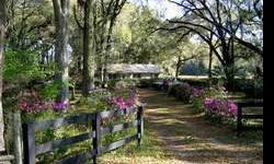 ON 1.71 ACRES ACCENTED WITH MAJESTIC OAKS AND COLORFUL AZALEAS! 3 bedroom, 2 bath concrete block home prox. 1,642 square feet living area, central heat and air. Great location close to town. Ready for your horse with no climb fenced paddock and horse