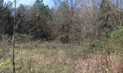 Looking for a building lot in a nice neighborhood. This could be it. Located at the corner of Shofner Lane and Caleb Drive this lot is wooded and would need to be cleared for building. Close to County Port Road boat ramp.Listing originally posted at http