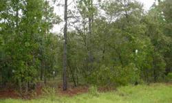 Enjoy country living on this pretty wooded 1 acre lot. Close to hiking, golfing, fishing and much more. Still working?? Convenient drive to Ocala or Gainesville. For more information contact LINDA JANE CRAMER at lindajane@hdownsrealestate.com or cell