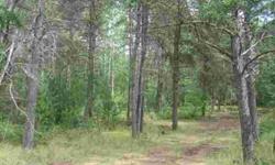 Location of this wooded 2.10 acres will have you setting up your camper in no time.Sellers have a area cleared for you to camp and build later.Near lakes and hunting land.Nicely wooded with oak,maple,red pines and plenty of blueberries batches.There's