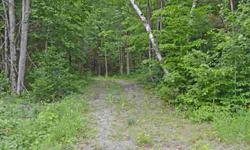 Wonderful quiet level 5 acre lot, ideal for country home or camp. Access to snowmobile trails & 4 wheeler roads.
Listing originally posted at http