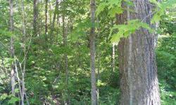 Here is your opportunity to own AFFORDABLE wooded acreage in the heart of recreation paradise. Hunt, ATV, Snowmobile or just relax and enjoy the solitude. Close to Roberts Lake just in case you want to play on the water or catch the big one. Imagine