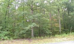 Beautiful 1.19 Acre Wooded Lot with a 3 Bedroom Conventional Perc. Property is flagged. Gentle Slope. RR Zoning?Modular Homes Okay, No Doublewides. For more information contact TONY SHADE 540-903-0877 RE/MAX Heritage