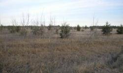 Don't miss out on these wooded building lots only minutes from Bemidji. Lots of wild life. Building packages available.Listing originally posted at http
