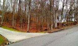 One lot in an established subdivision. Curbing and paved streets. Public water and sewer available.Listing originally posted at http