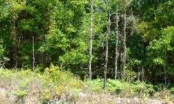 Nice, pretty, wooded 5 acres located just in Suwannee County, but still has a Lake City Fl address. Mobile Homes Allowed and priced to sell! Reduced!Listing originally posted at http