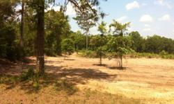 2.79 Acres in Sugartown La. Off Monroe Baggett Road, parcially cleared, owner financing alvailable