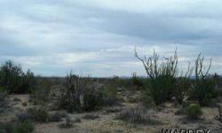 This is a very nice parcel with lots of joshuas and ground cover with very easy access off of alamo rd, if your looking to invest or purchase a property to put your next home this is one worth looking at.
