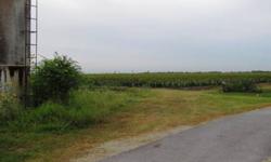 6/6/2012 0This Property could make a wonderful Homestead with room for your Horses or Livestock. You are only minutes from Harlingen International Airport, Texas State Technical College, Valley Baptist Hospital/ Medical Centers, and all of the convenience