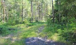 Beautiful twenty acres to build your dream home on.