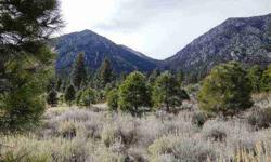 Wonderful Jobs Peak corner lot. Trees, boulders, open area, live water... live the Jobs Peak lifestyle on this versatile lot. Short Sale Addendum with required verbiage available with Docs icon.