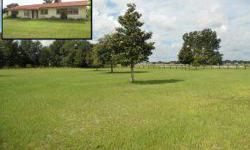 Williston horse country home! Ten acres on highway 41 just five miles south of town. Ocala Marion County Association of Realtors has this 3 bedrooms / 2 bathroom property available at 1451 SE Hwy 41 in Williston for $170000.00.