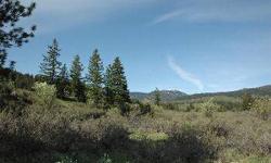 WOLF CREEK RANCH - a special group of parcels created from the original Thompson Homestead holdings. The parcels are on the south side of Wolf Creek, with 2 private bridges for access. Lot 4 is VERY SPECIAL with a large upper bench, scattered with tall
