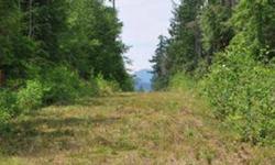 Own your own forest! A short walk from some of the best hiking trails on the Olympic Peninsula, this 20 acre parcel provides peace and quiet with ample elbow room.Listing originally posted at http