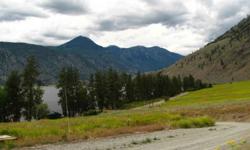 Beautiful building site with deeded lake access on spectacular Palmer Lake! 2.45 acres with irrigation and domestic water, power and phone. Within short walking distance of the lake. Come discover the jewel of the Okanogan and build your dream home