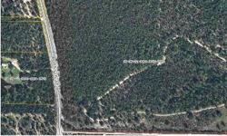 This is a beautifully wooded property, level, high & dry, with paved road frontage. Over 1300 feet estimated on Mt. Olive Road. Ideal development piece or country estate. The property is zoned Residential Rural (RR) and has a Future Land Use of Rural
