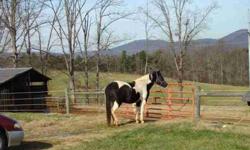 Lovely Country setting & Scenic view of horses with backdrop of Valdese Mountains right from your own back deck. Fenced and cross fenced pastures with creek and well to water the livestock in various pastures. Lots of good Road Frontage. Beautiful piece