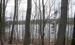 Imagination is a preview of the future. If yours includes peacefully paddling a canoe or kayak across a pristine inland lake in northern Michigan, you may want to hike across this wooded 10 acre parcel on the shore of Pearl Lake. The gently sloping