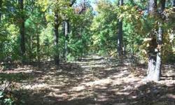 Here is 49 acres with great lake view of Bull Shoals Lake. This property has it all, bring your boat to go fishing or enjoy the secluded splendor and beautiful wildlife. Property is heavily wooded in mostly oak timber and would be a great place to retire