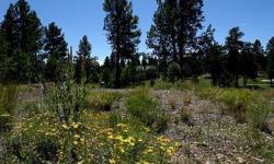 SELLERS HAVE AGGRESSIVELY PRICED THIS LOT TO SELL! Private and gorgeous, this 29,185 square foot lot is located on a quiet cul-de-sac in Pine Canyon, the most exclusive golf community in Northern Arizona. The lot has a 9,209 square foot setback envelope