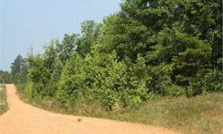This tract is located 8 miles from Interstate 65 on a low traffic County road (512 Mill St.) in the Georgiana area. It was clear-cut in 2009 and left to regenerate with natural timber. Although in a good hunting area this property has several excellent