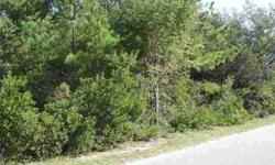 Great high elevation lot centrally located in desirable southern shores beach.