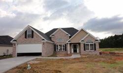 Granite counter tops & stainless appliances, great colors, master with treyed ceiling - walk-in closet - jet tub, tankless hot water heater, sprinkler system, screened porch, double garage.
Listing originally posted at http