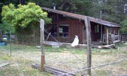 2bd/1.5 ba major fixer on 4.27 ac. just south of Langlois. Newer, huge detached metal shop on Hwy. 101 frontage. Zoning could possibly be changed to commercial. Check with county planning. Was a llama farm. Owner may carry with sensible down payment.
