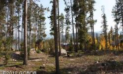 Great 0.62 acre treed lot with mountain views. Most utilities nearby - electric, gas, phone. Public water & sewer. Easy access to trail system in National Forest. Low HOA dues - only $100 per year. Full set of building plans for custom home included, call